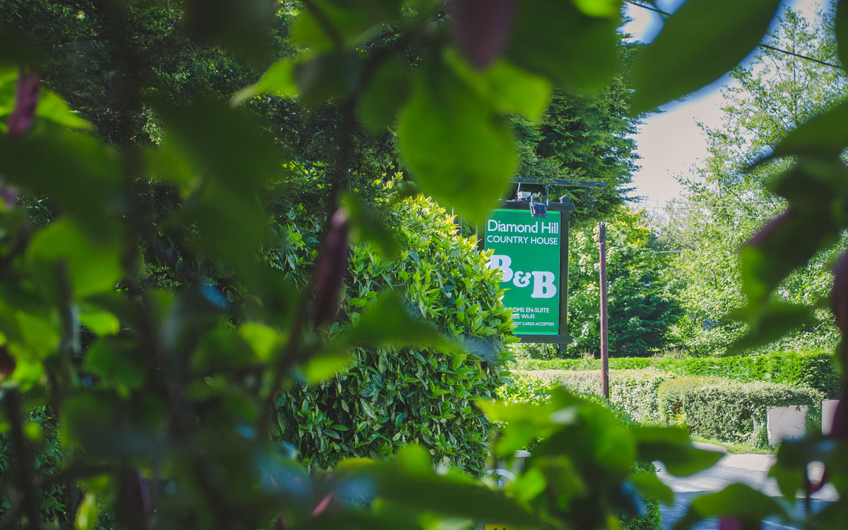 Bed & Breakfast Diamond Hill Country House B&B Waterford City, Ireland